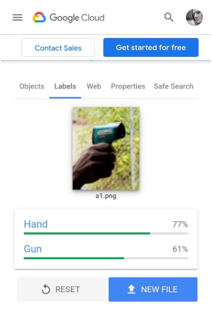 g1
